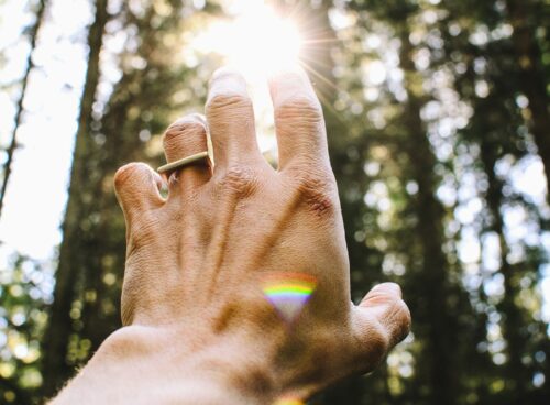 person's hang reaching out sunlight